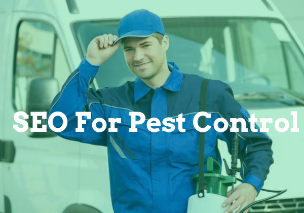 SEO For Pest Control